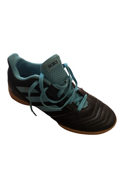 Adidas Predator Sala / Gr. 36 2/3