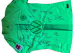 Trikot VfL Wolfsburg Svanberg (inkl. Unterschriften)